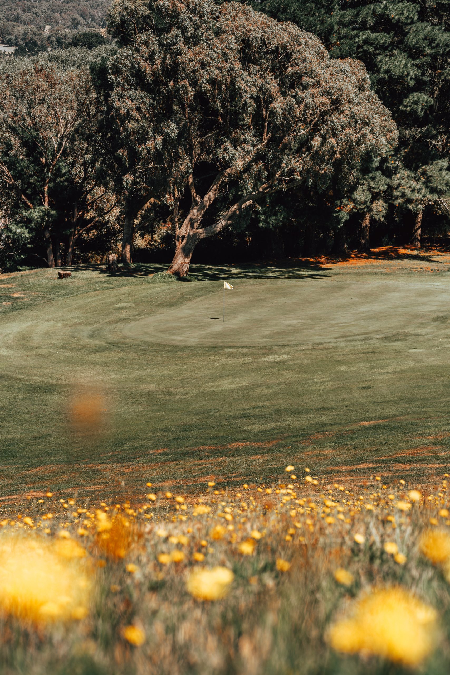 Callaway Warbird Irons Review (Is It Worth Buying?)