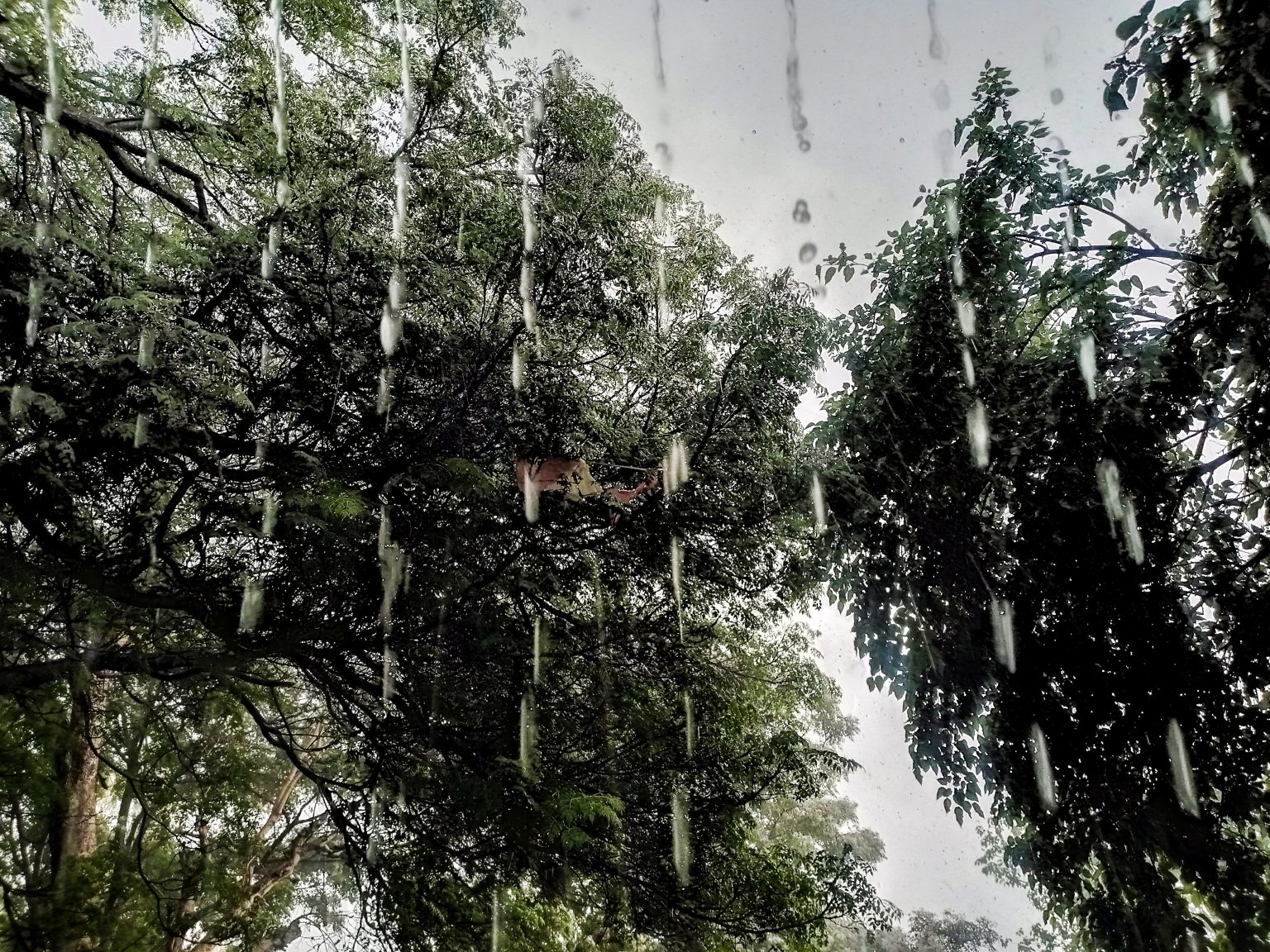 How Much Does A Full Golf Bag Weigh? (Charts, Examples)