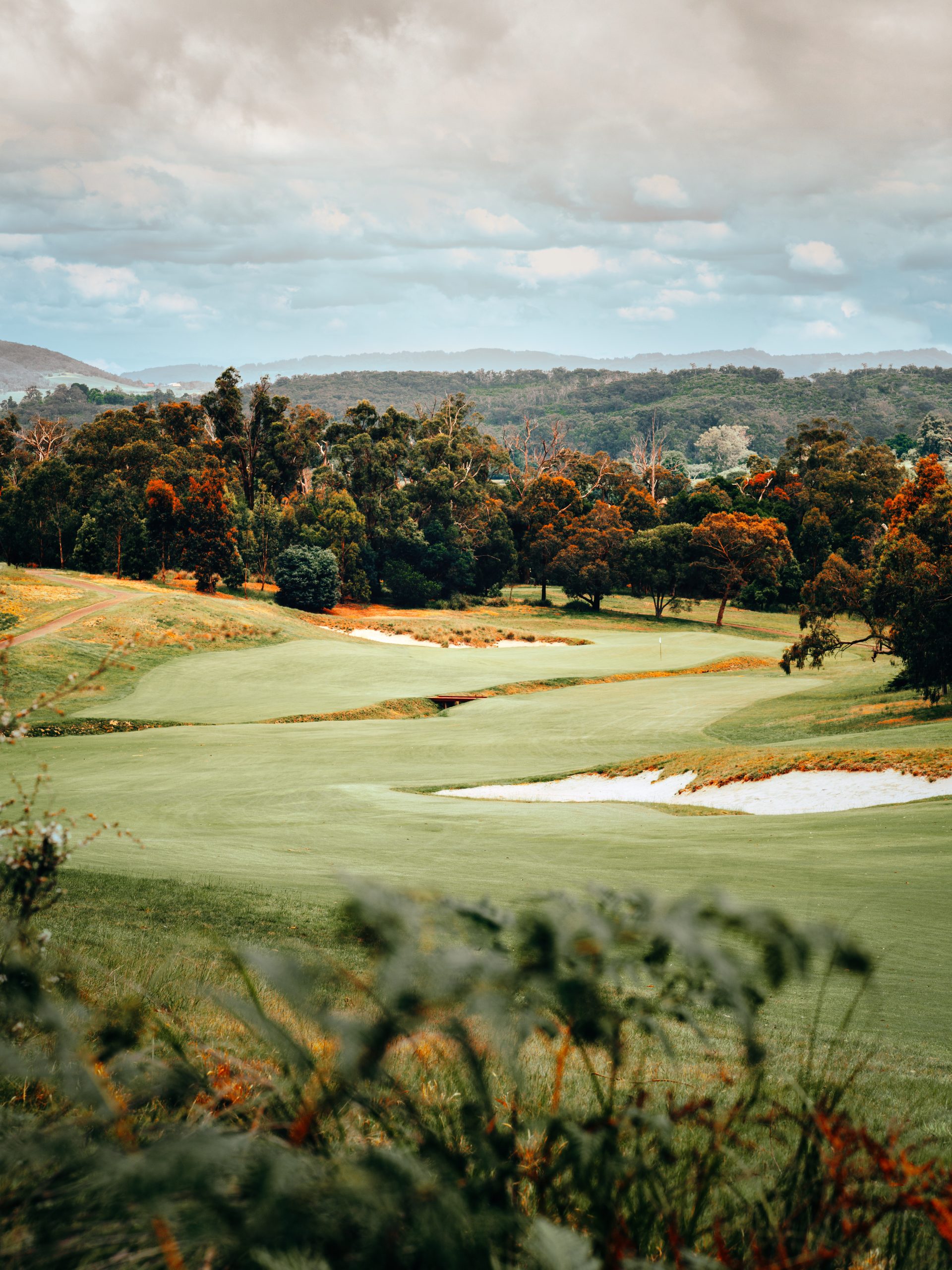 9 Illegal Putters (With Examples)