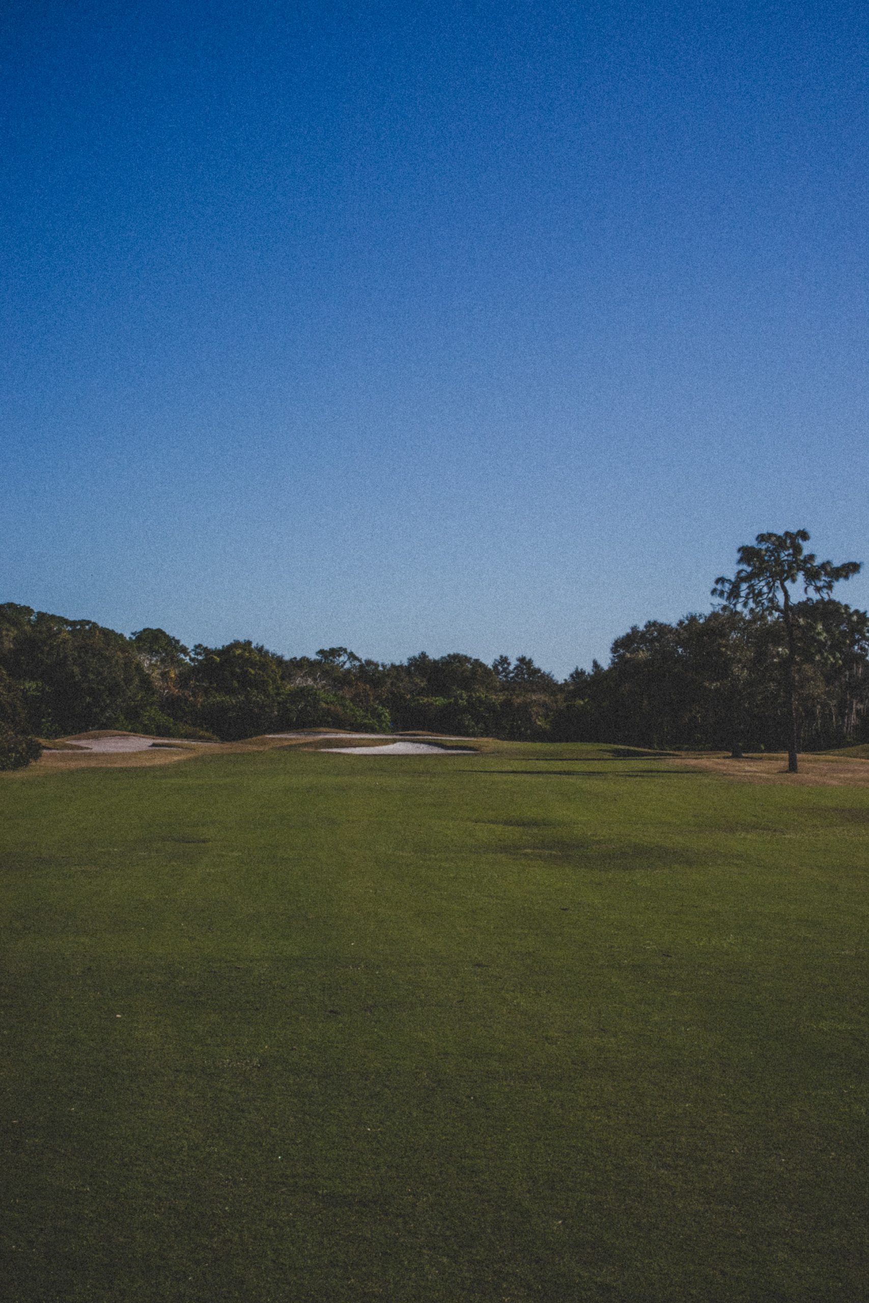 Hybrid Golf Club Distances (Lofts, Distances, Charts)