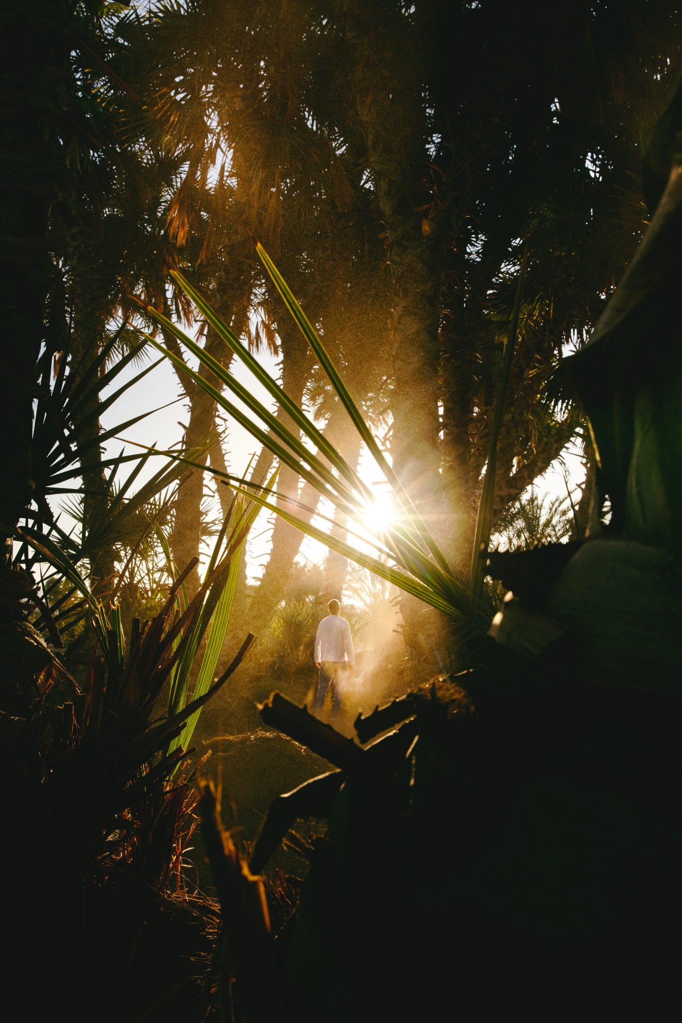 Your Florida December Tan: Tips & Tricks For Success - e7735rm
